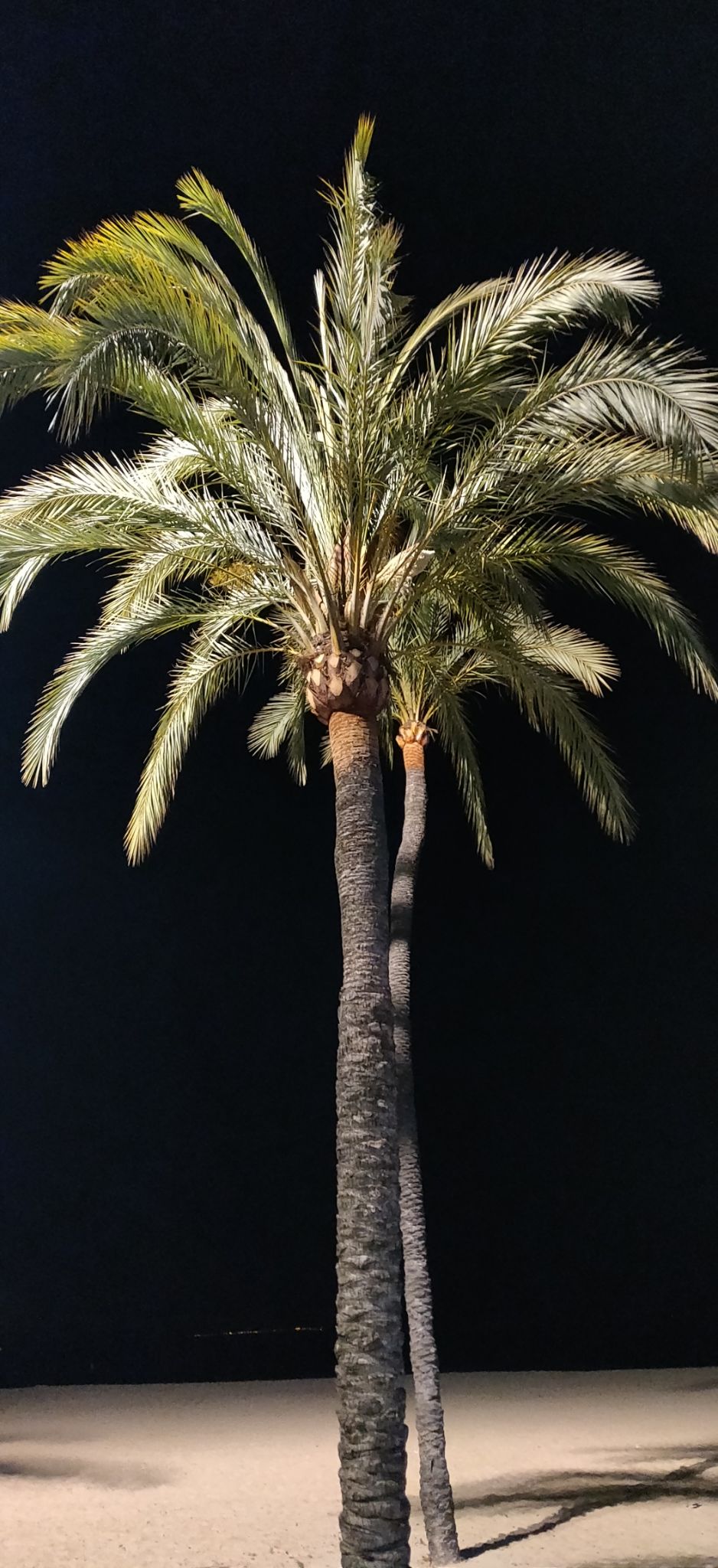 Photo of Majorca, Spain - the perfect weekend getaway by Aditya Malik