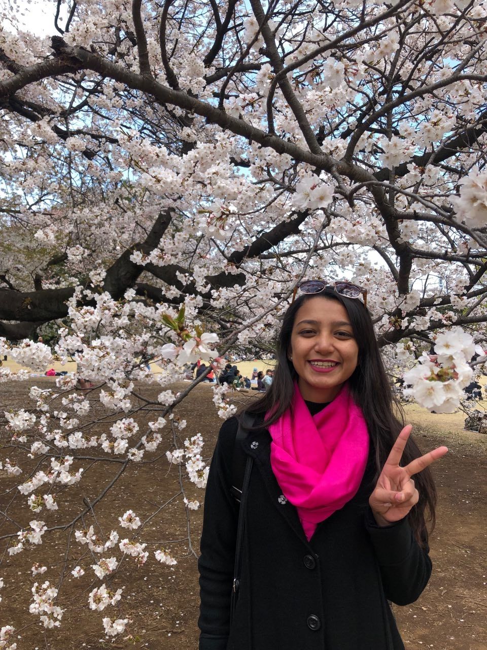 Photo of Shinjuku Gyoen National Garden, 11 Naitomachi, Shinjuku City, Tokyo, Japan by Aishwarya Raj