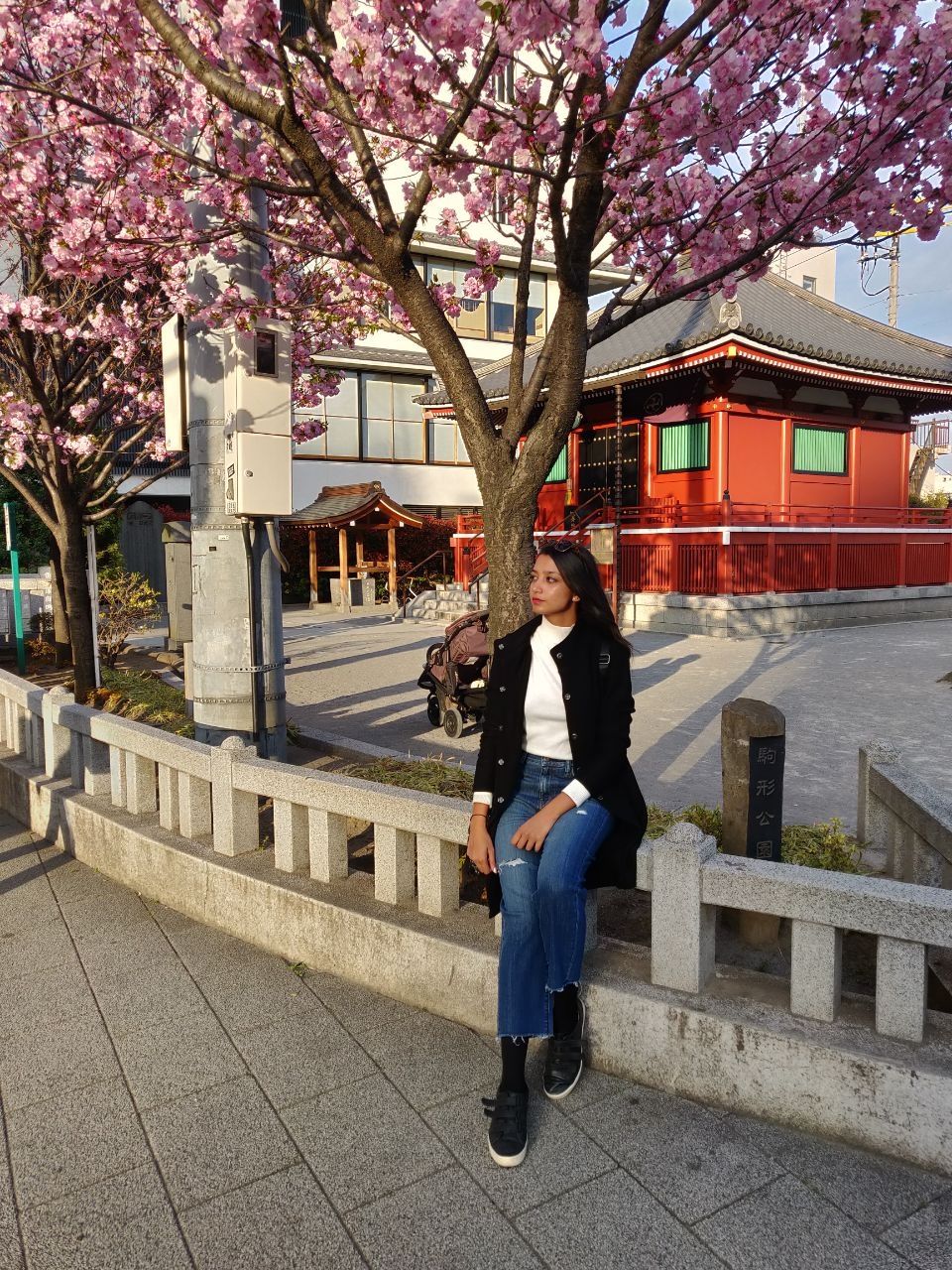 Photo of Ginza, Chuo City, Tokyo, Japan by Aishwarya Raj