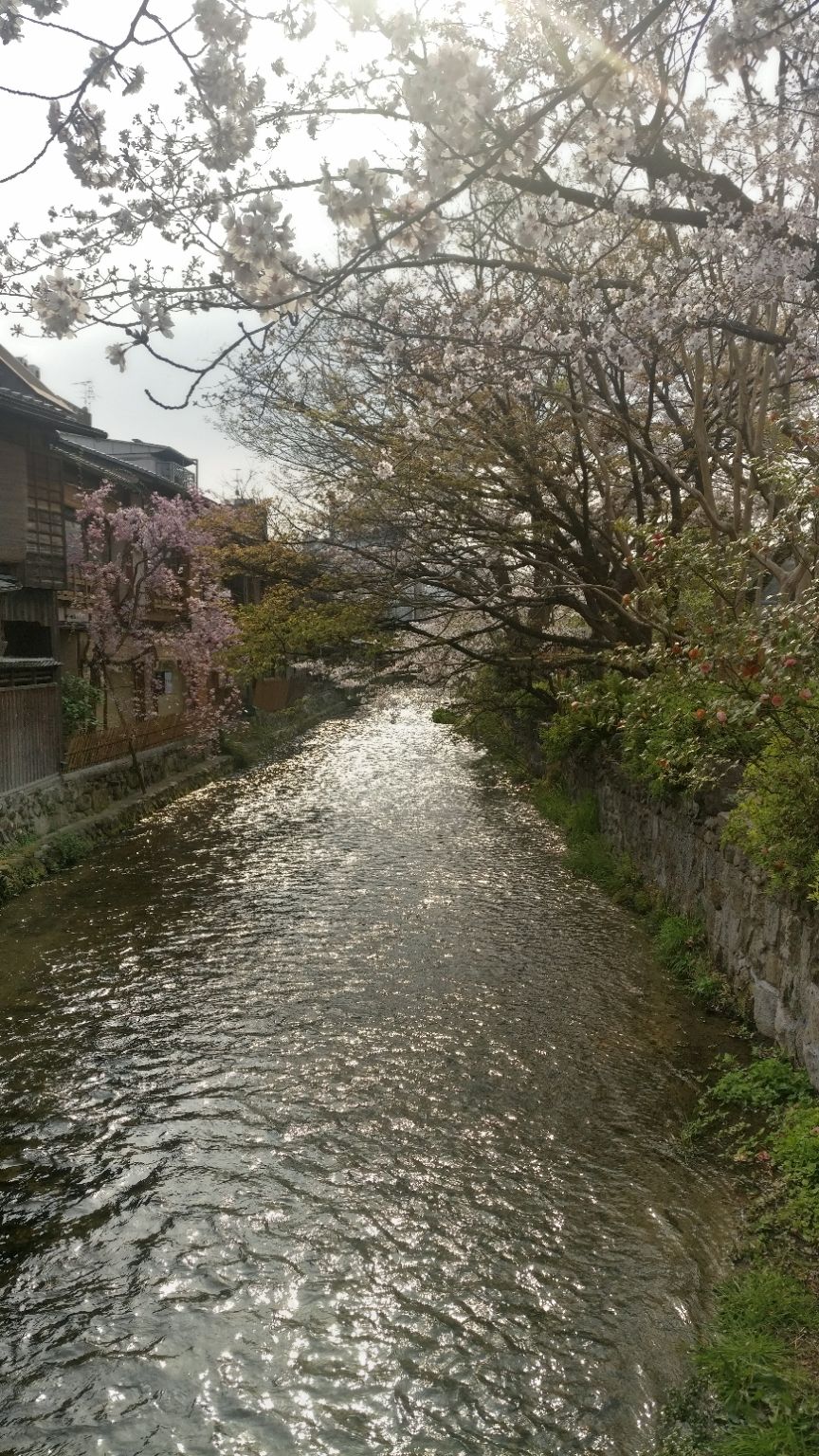 Photo of Kyoto Imperial Palace, 3 Kyotogyoen, Kamigyo Ward, Kyoto, Japan by Aishwarya Raj