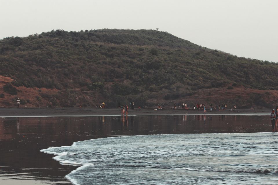 Photo of Velas Turtle Festival, 2019 by Nabin Singh