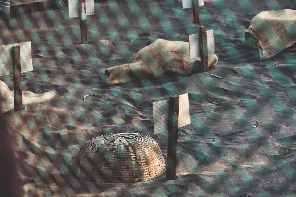 Photo of Velas Turtle Festival, 2019 by Nabin Singh