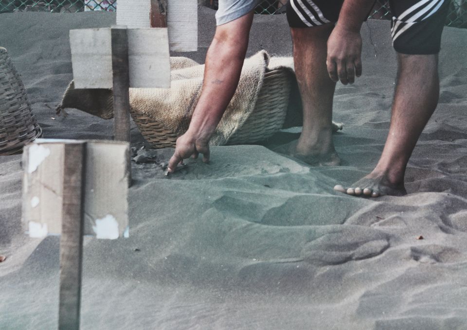 Photo of Velas Turtle Festival, 2019 by Nabin Singh