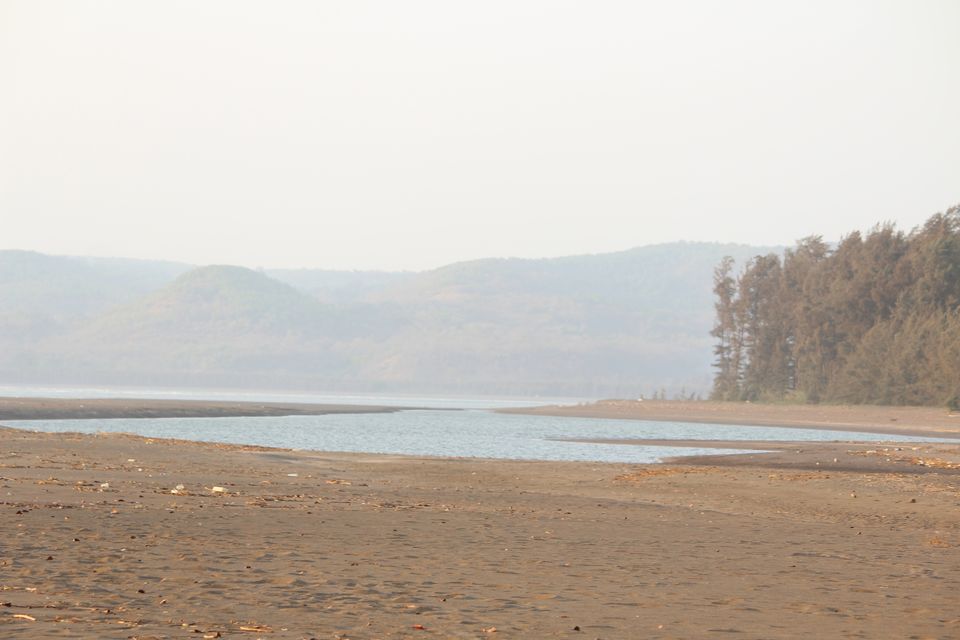 Photo of Velas Turtle Festival, 2019 by Nabin Singh