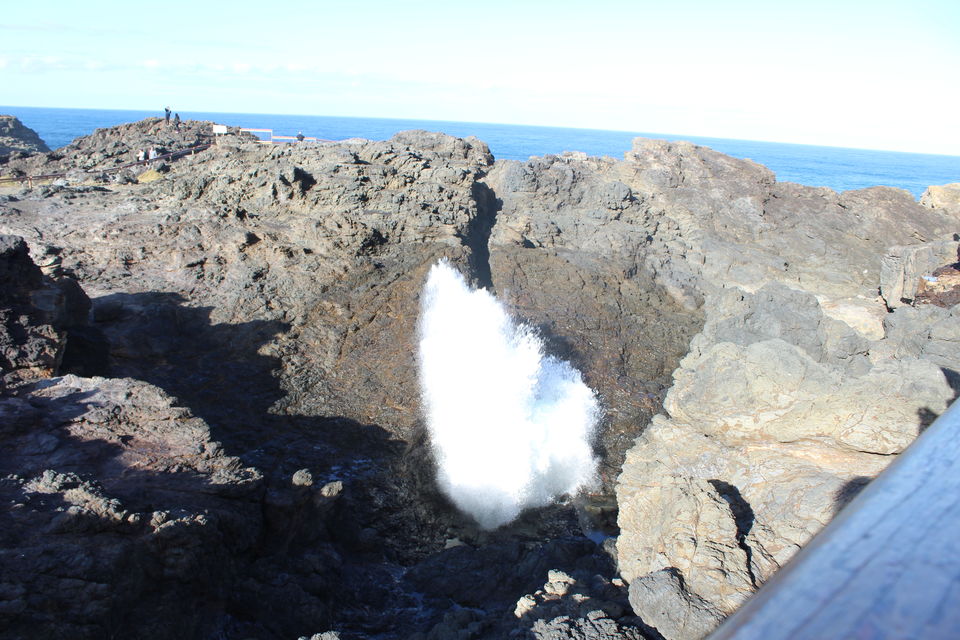 Photo of Kiama: The Ultimate Picnic Spot 1/3 by Noor