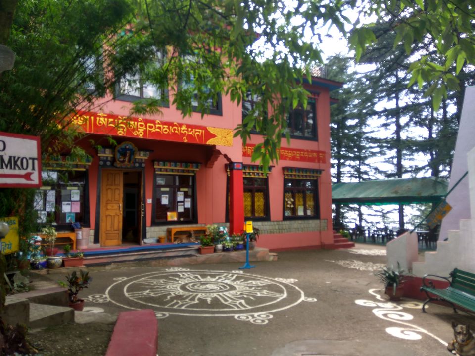 Photo of Why You Should Give Dharamkot a Chance... 3/3 by Noor