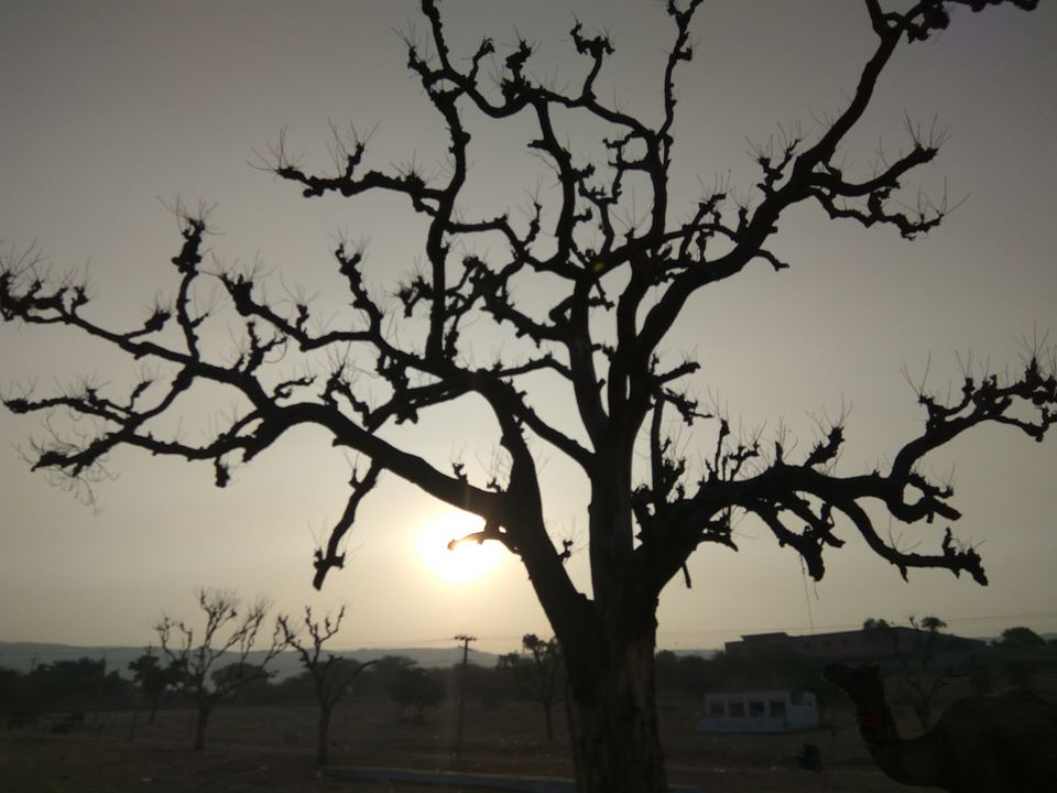 Photo of Pushkar : Destination For Nirvana Seekers 1/6 by Noor