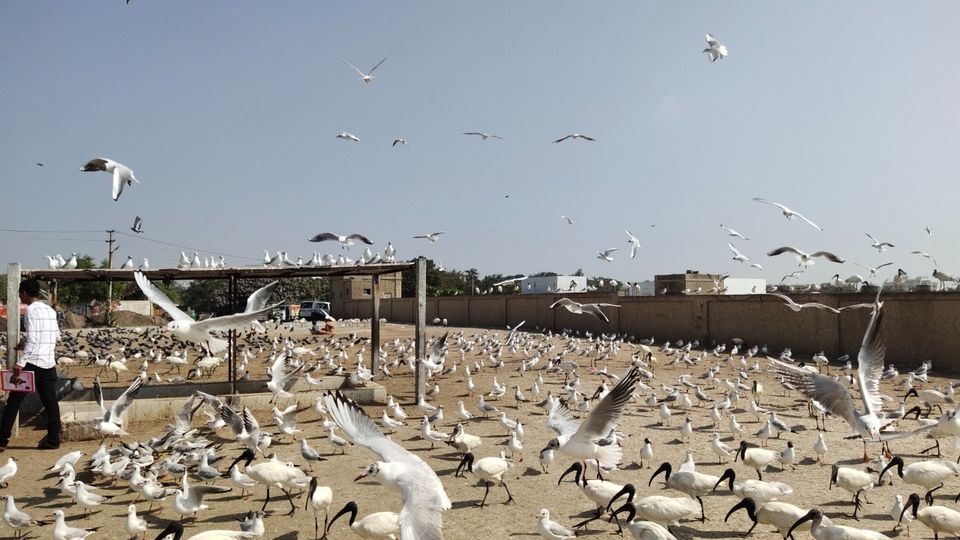 Photo of सोमनाथ by Lucky Goyal