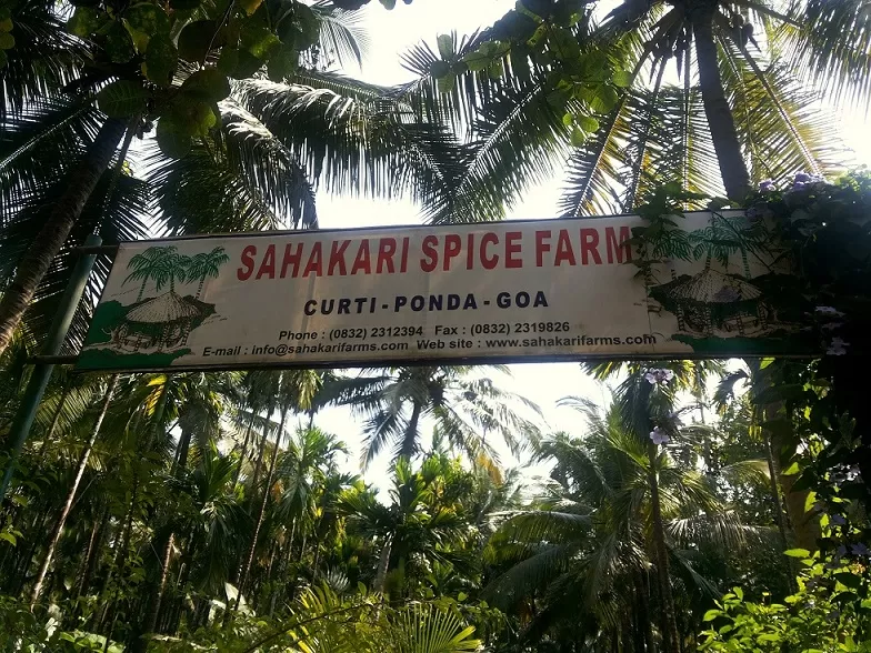 Photo of Sahakari Spice Farms, Kurti, Ponda (Goa) by Mahima Kohli