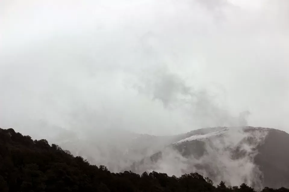 Photo of Dharamshala, Himachal Pradesh, India by Mahima Kohli