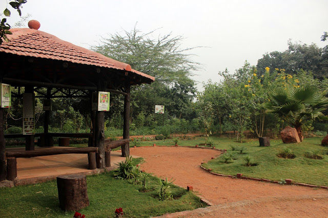 Photo of Did you know there is a Wildlife Sanctuary in Delhi?! by Mahima Kohli