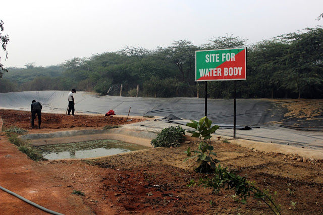 Photo of Did you know there is a Wildlife Sanctuary in Delhi?! by Mahima Kohli