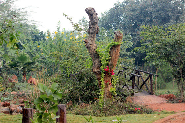 Photo of Did you know there is a Wildlife Sanctuary in Delhi?! by Mahima Kohli