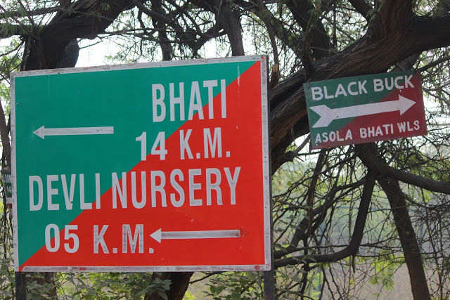 Photo of Did you know there is a Wildlife Sanctuary in Delhi?! by Mahima Kohli