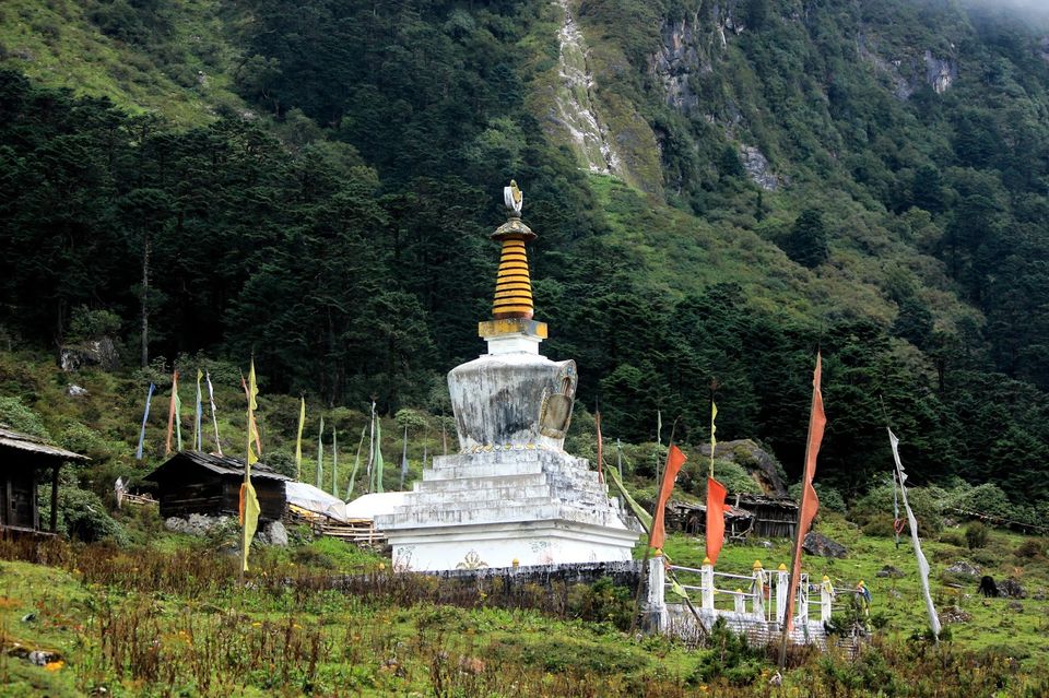 Photo of Shingba Rhododendron Sanctuary, Sikkim, India by Mahima Kohli