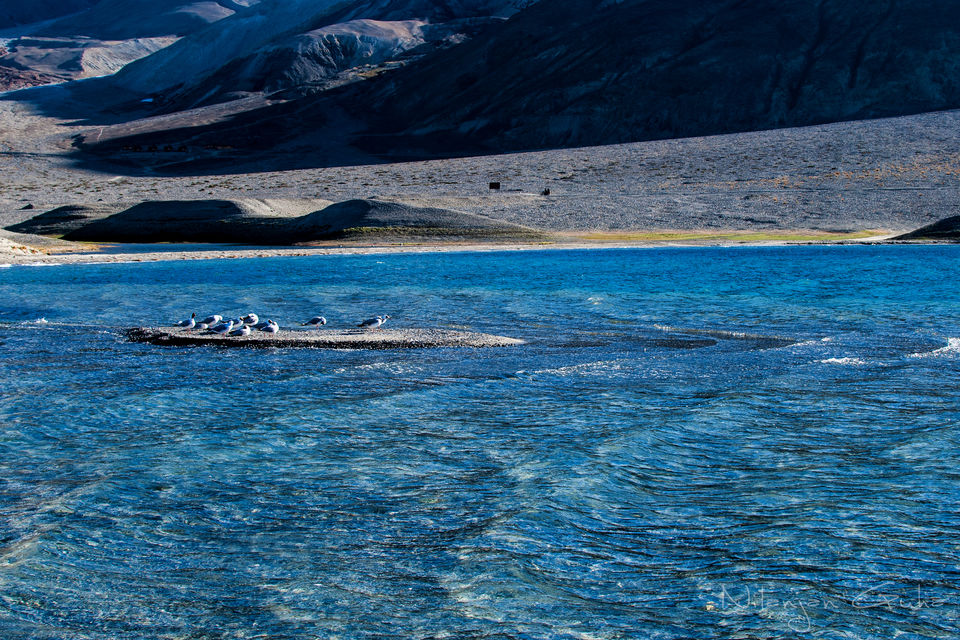 Photo of L’amour Ladakh: Complete guide to explore India's paradiso 5/56 by Sreerupa Chatterjee