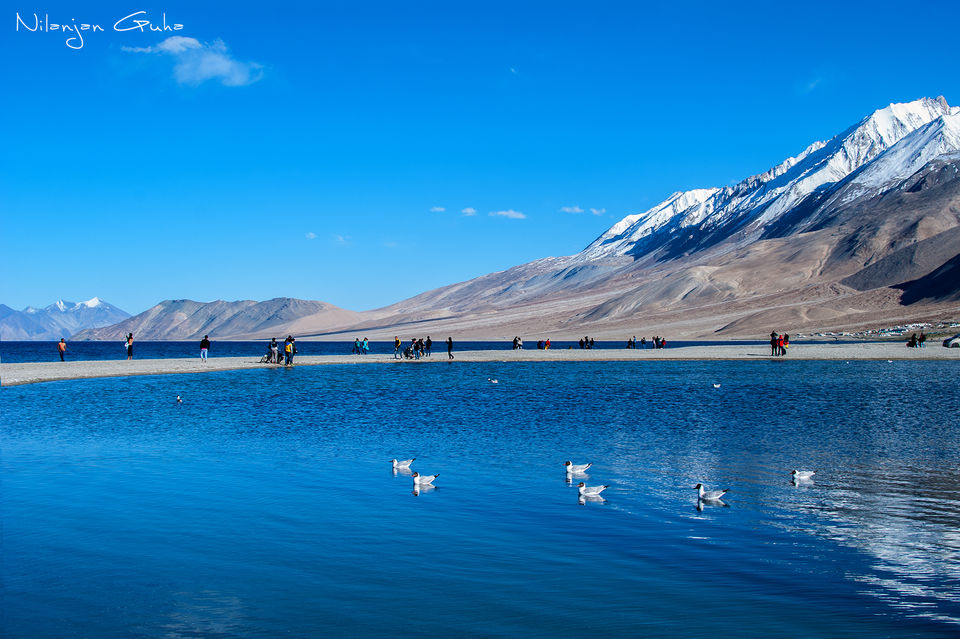 Photo of L’amour Ladakh: Complete guide to explore India's paradiso 14/56 by Sreerupa Chatterjee