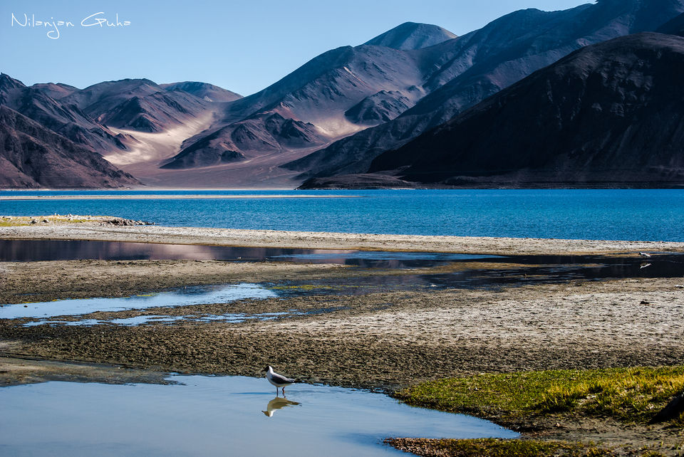Photo of L’amour Ladakh: Complete guide to explore India's paradiso 16/56 by Sreerupa Chatterjee