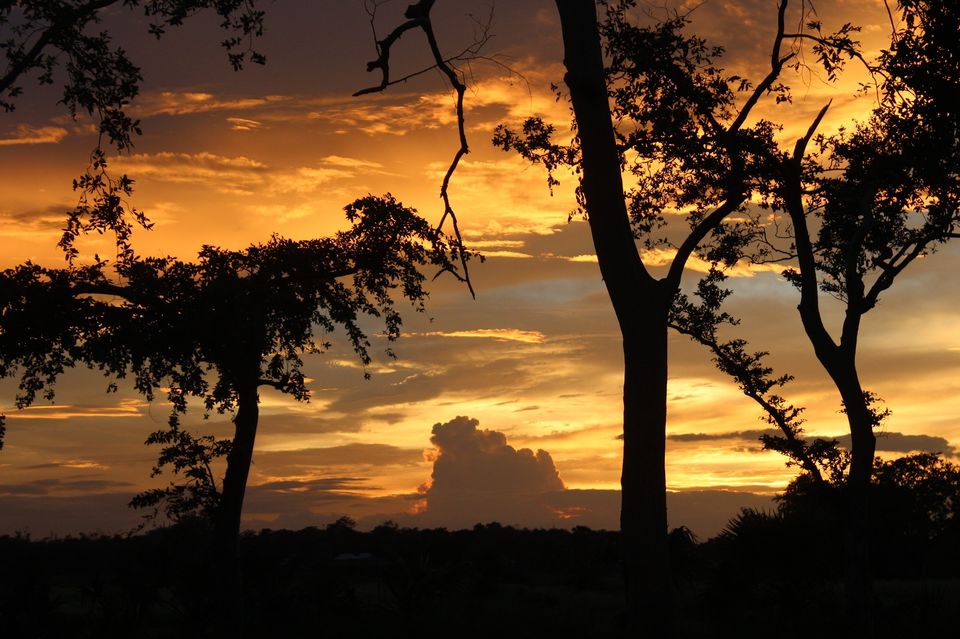 Photo of Santiniketan, blissful weekend getaway 2/16 by Sreerupa Chatterjee