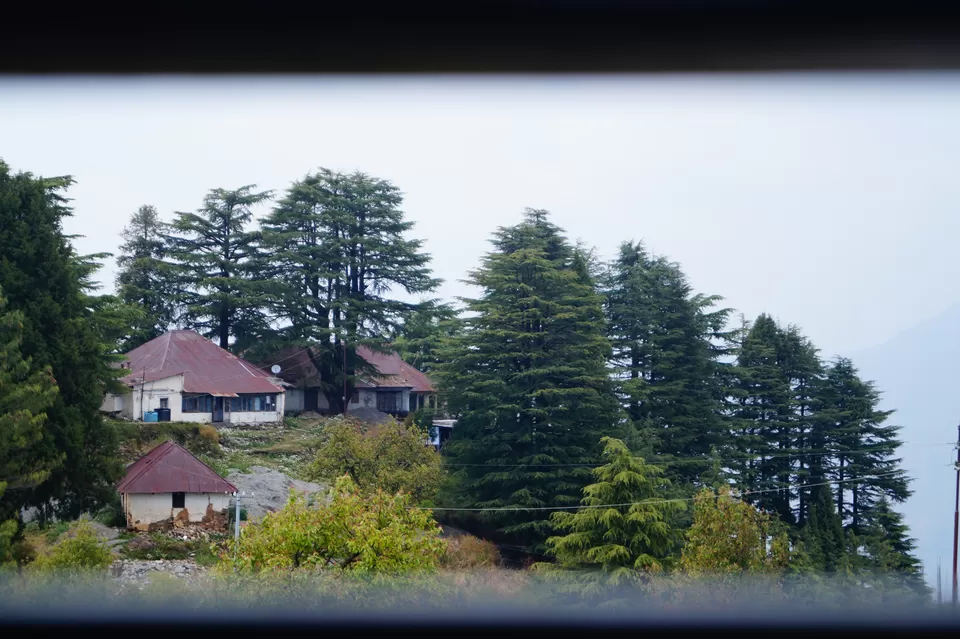 Photo of Eco Park Dhanolti, Dhanolti, Uttarakhand, India by Divyaa Rana