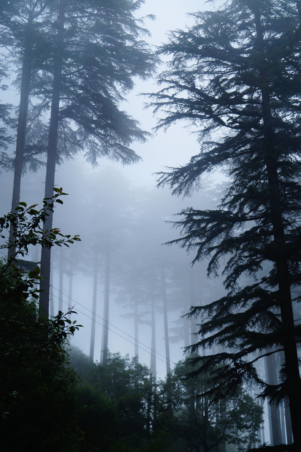 Photo of Mussoorie: Heaven on Earth! by Divyaa Rana