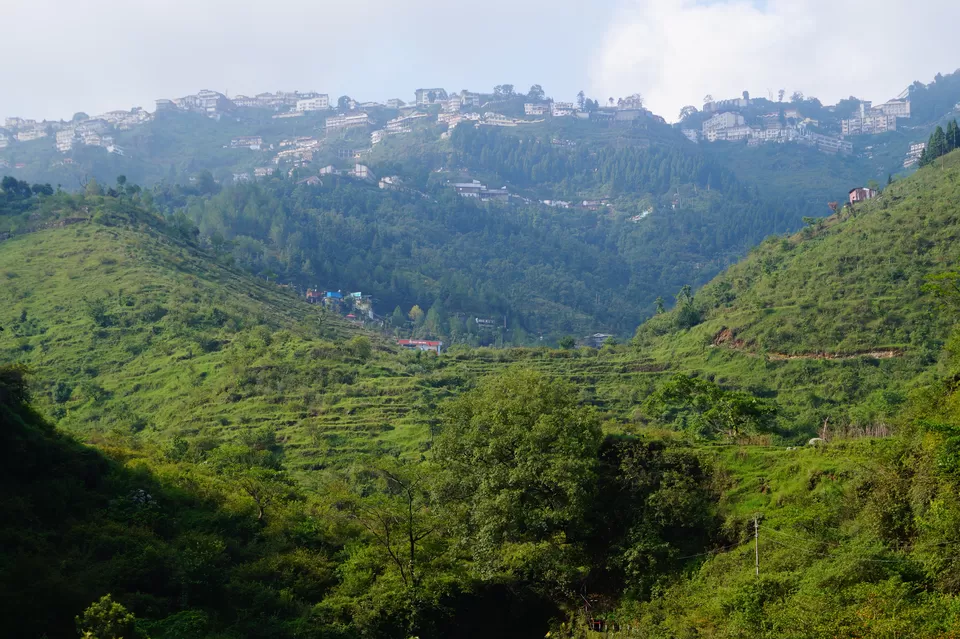 Photo of Dehradun, Uttarakhand, India by Divyaa Rana