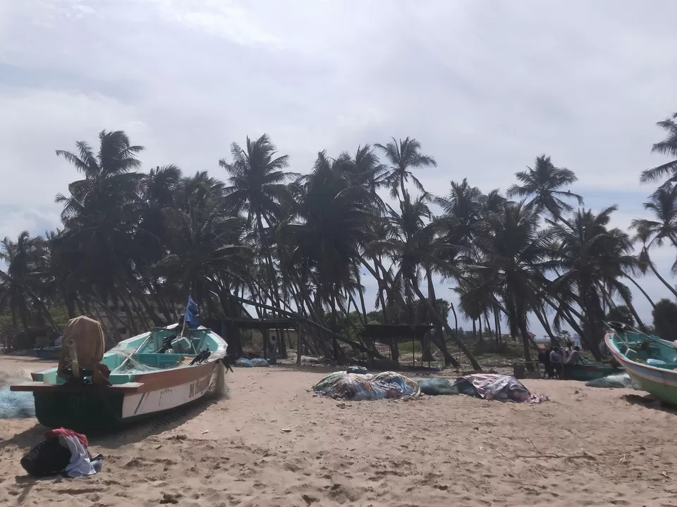 Photo of Paradise Beach, Pondicherry Road, Kotturpuram, Chennai, Tamil Nadu, India by Sarvjeet Vimal