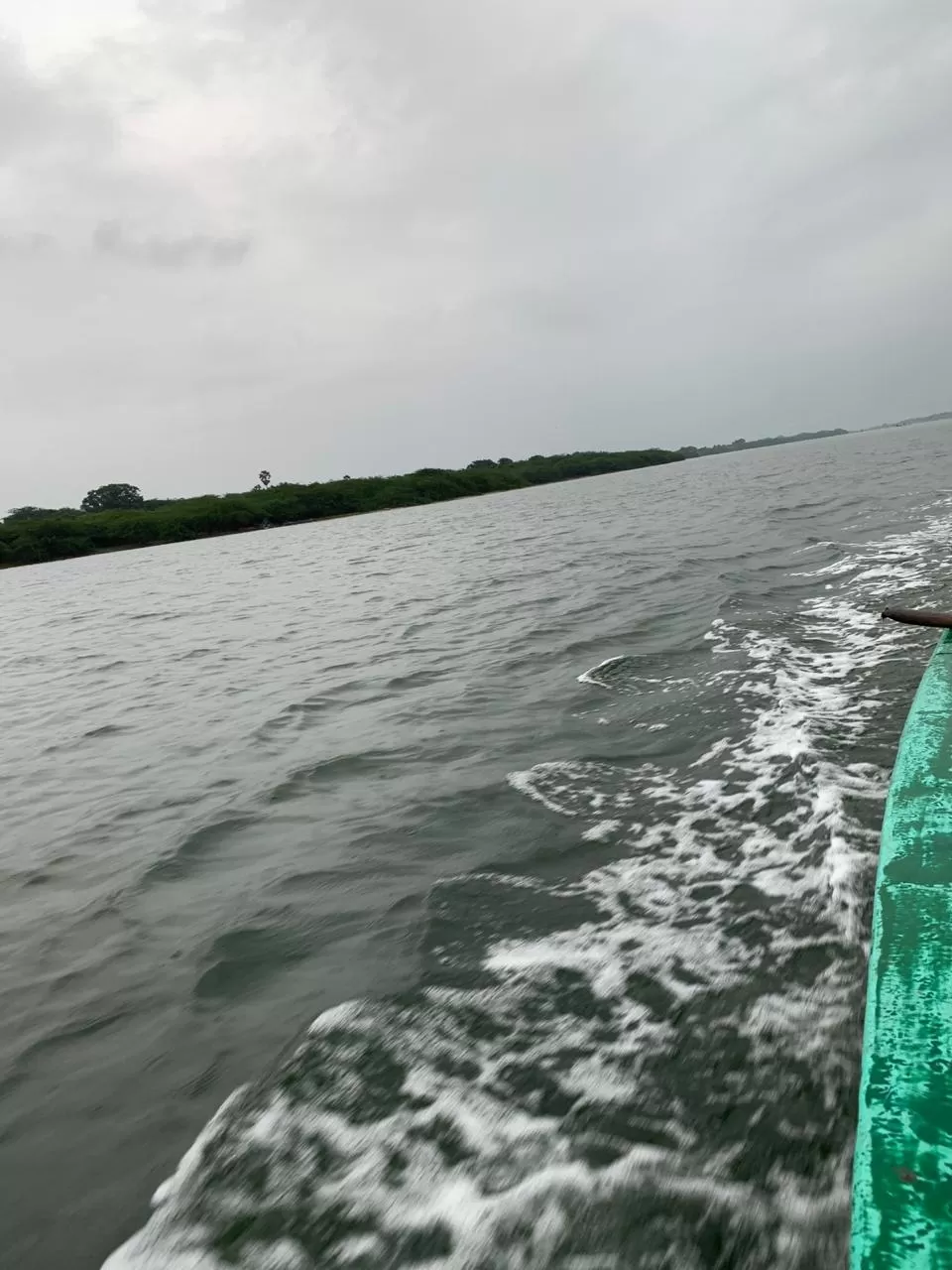 Photo of Pulicat Bird Sanctuary by Fenrir