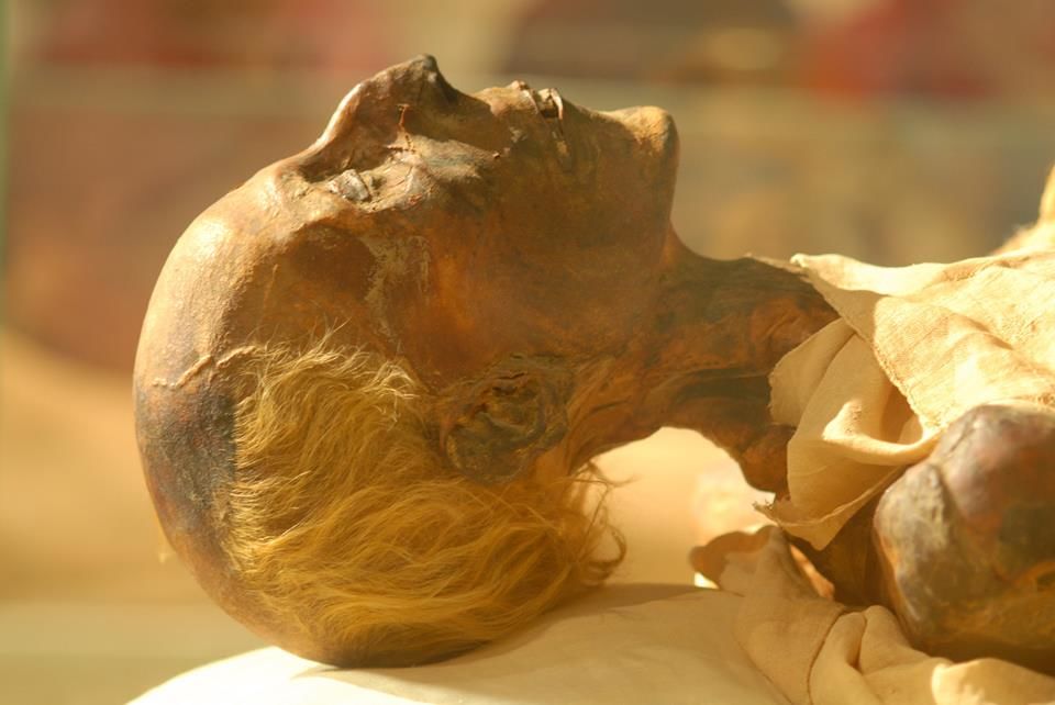 Photo of tour to the Egyptian museum and old cairo and old bazzar by look at Egypt tours