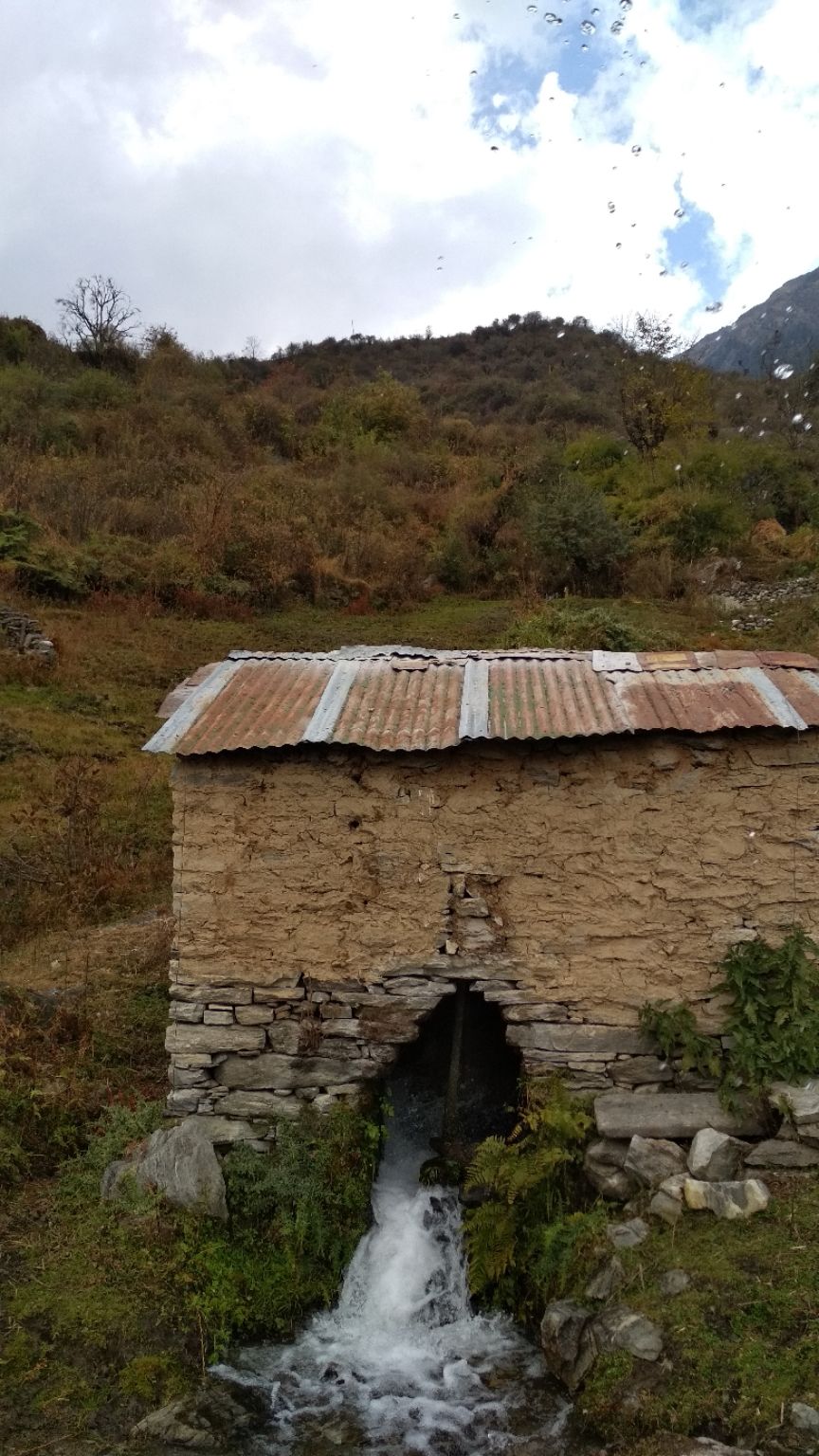 Photo of Kuari Pass Trek, Joshimath, Uttarakhand, India by BHAVPREET SINGH