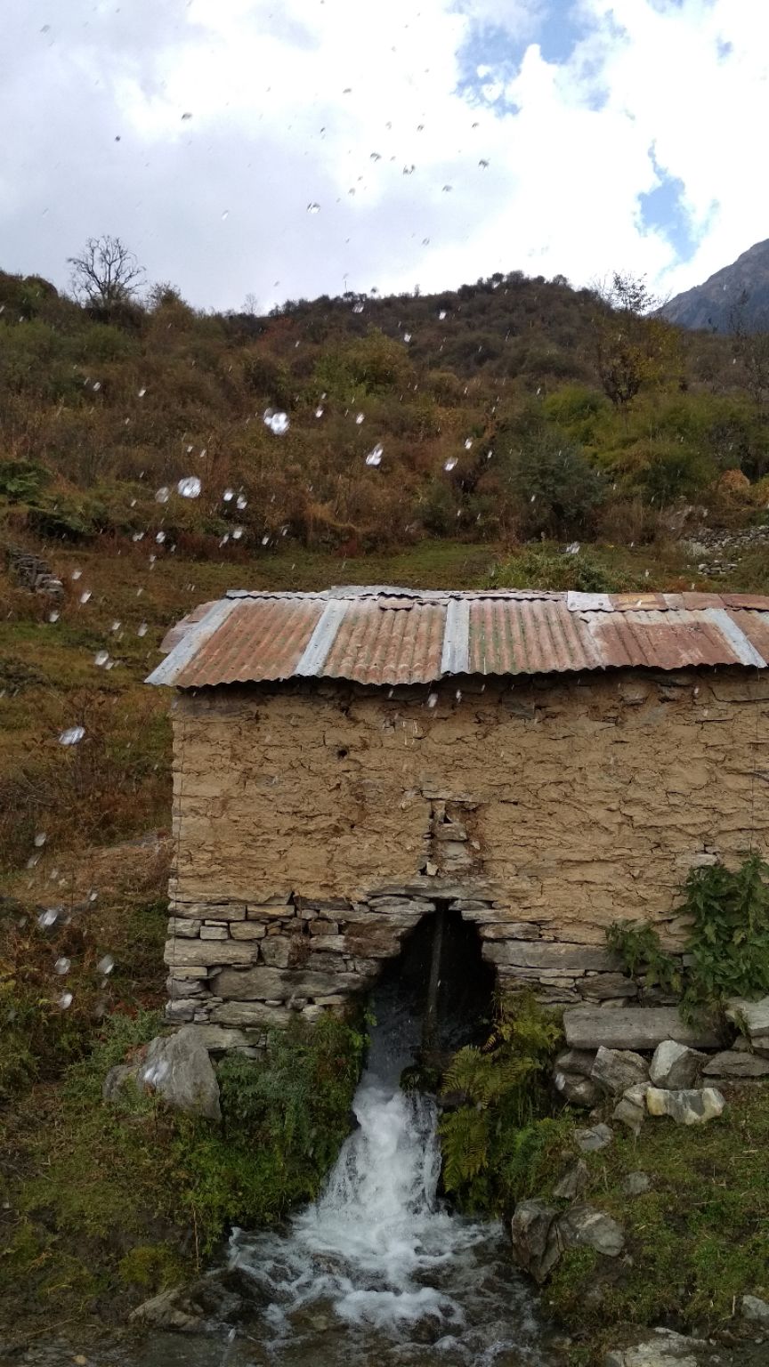 Photo of Kuari Pass Trek, Joshimath, Uttarakhand, India by BHAVPREET SINGH