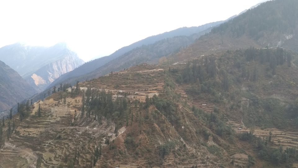 Photo of Kuari Pass Trek, Joshimath, Uttarakhand, India by BHAVPREET SINGH