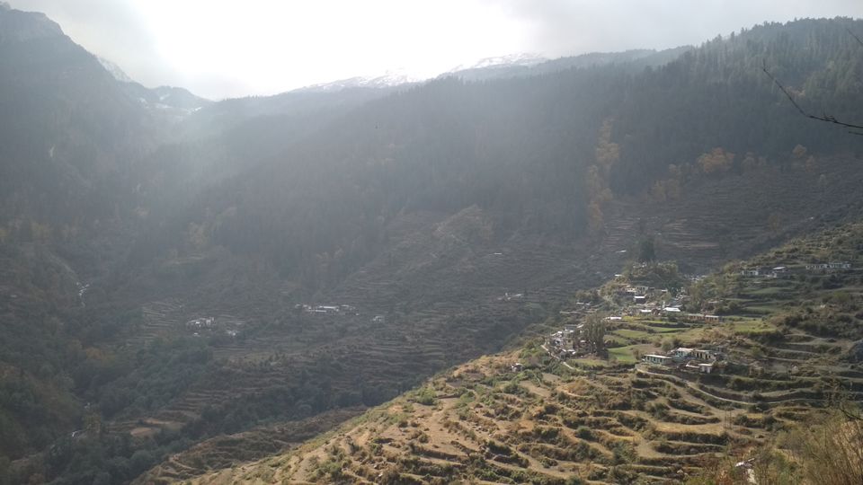 Photo of Kuari Pass Trek, Joshimath, Uttarakhand, India by BHAVPREET SINGH