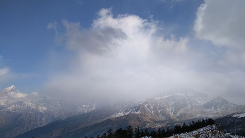 Photo of Kuari Pass Trek, Joshimath, Uttarakhand, India by BHAVPREET SINGH
