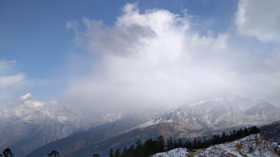 Photo of Kuari Pass Trek, Joshimath, Uttarakhand, India by BHAVPREET SINGH