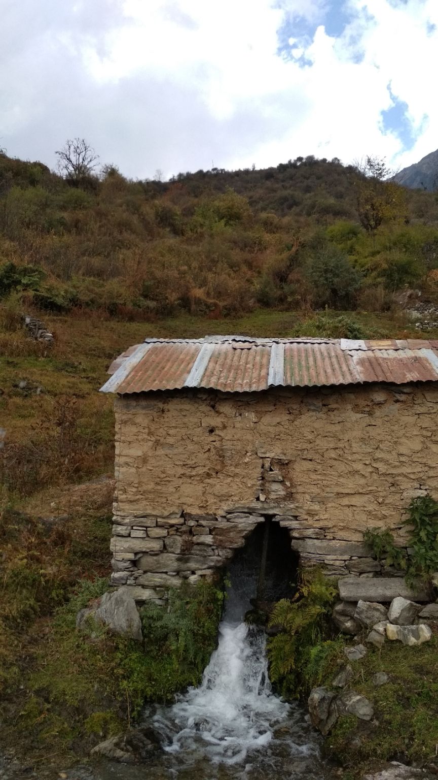 Photo of Kuari Pass Trek, Joshimath, Uttarakhand, India by BHAVPREET SINGH