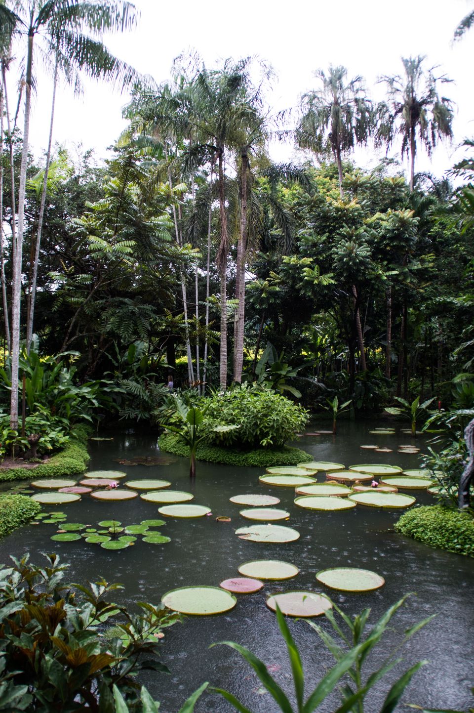 Photo of Botanic Gardens MRT Station, Singapore by Isha Saxena