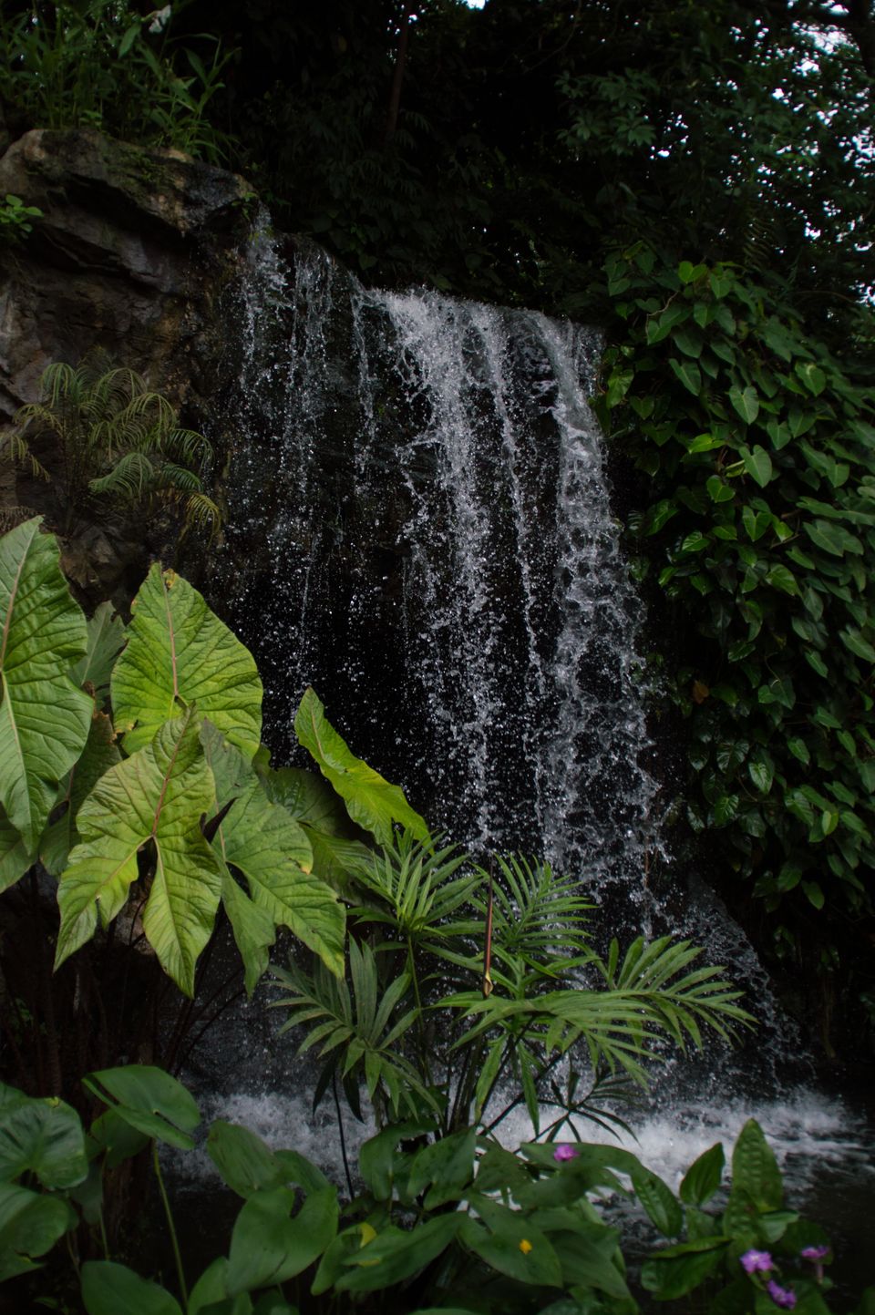 Photo of Botanic Gardens MRT Station, Singapore by Isha Saxena
