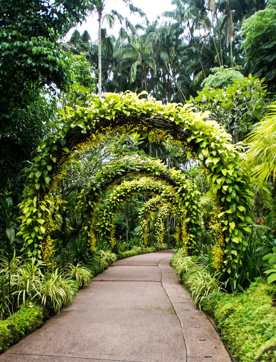 Photo of Botanic Gardens MRT Station, Singapore by Isha Saxena