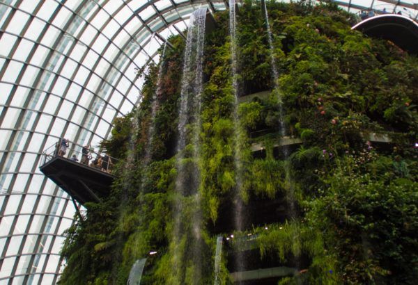 Photo of Marina Gardens Drive, Gardens by the Bay, Singapore by Isha Saxena