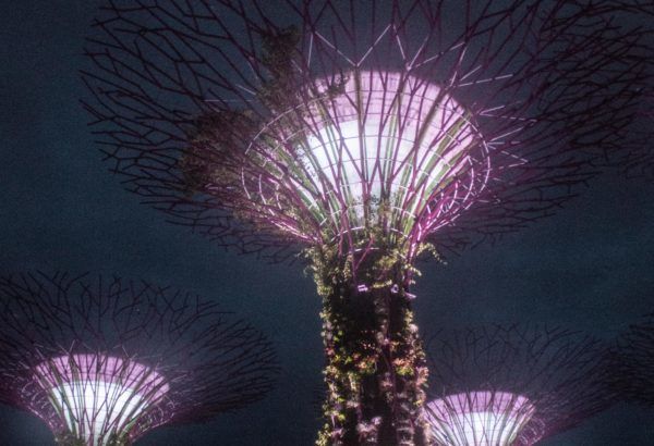 Photo of Marina Gardens Drive, Gardens by the Bay, Singapore by Isha Saxena