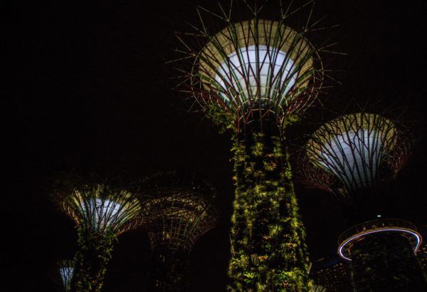 Photo of Marina Gardens Drive, Gardens by the Bay, Singapore by Isha Saxena