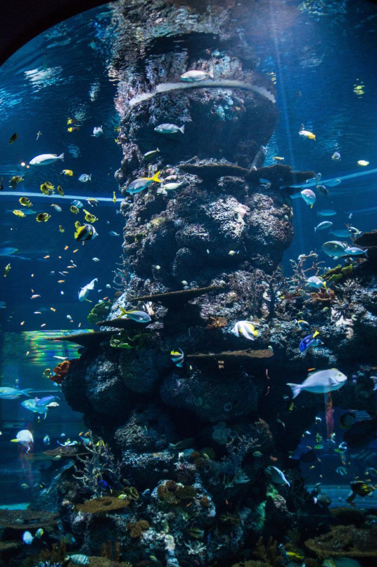 Photo of Sentosa Gateway, S.E.A. Aquarium, Sentosa Island, Singapore by Isha Saxena