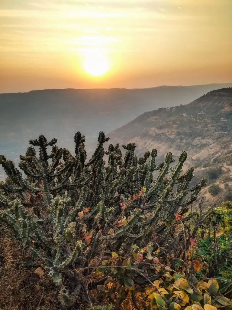 Photo of Things to do in Mahabaleshwar - CHOMP! SLURRP! BURP! by Isha Saxena