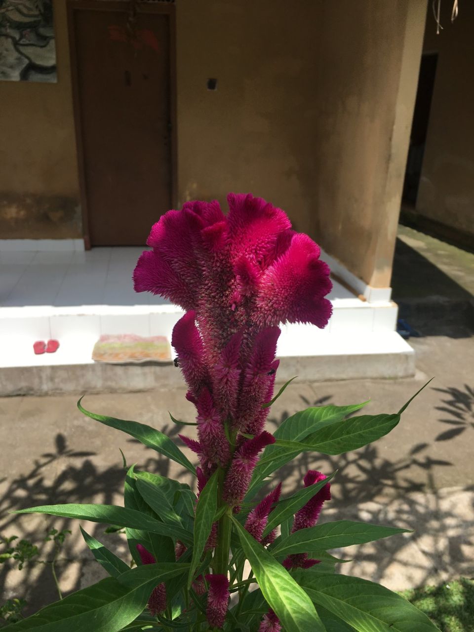 Photo of Travel Blog: Tips to help you plan your Holiday to Bali by Pragati Siddhanti