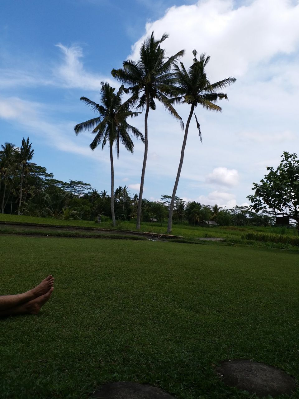 Photo of Travel Blog: Tips to help you plan your Holiday to Bali by Pragati Siddhanti
