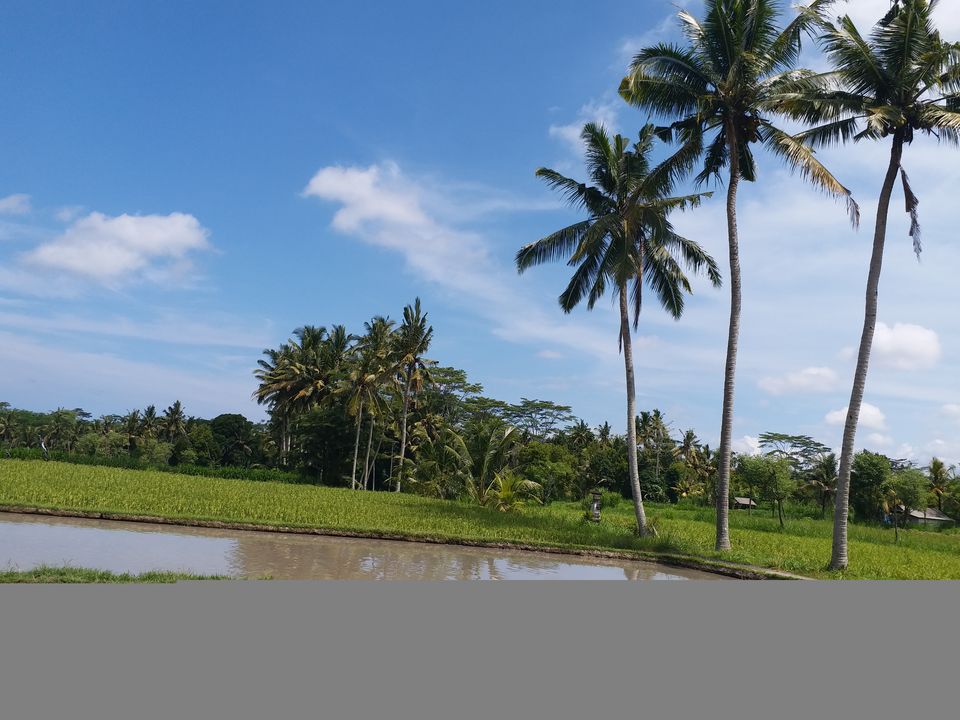 Photo of Travel Blog: Tips to help you plan your Holiday to Bali by Pragati Siddhanti