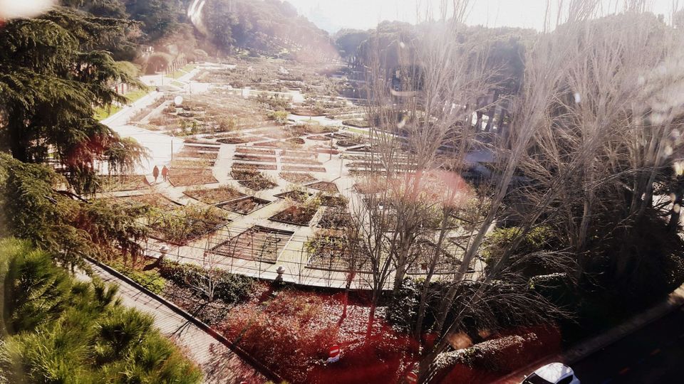 Photo of What to do in Madrid for 3 days + My Winter Holiday in Spain by Pragati & Manavi