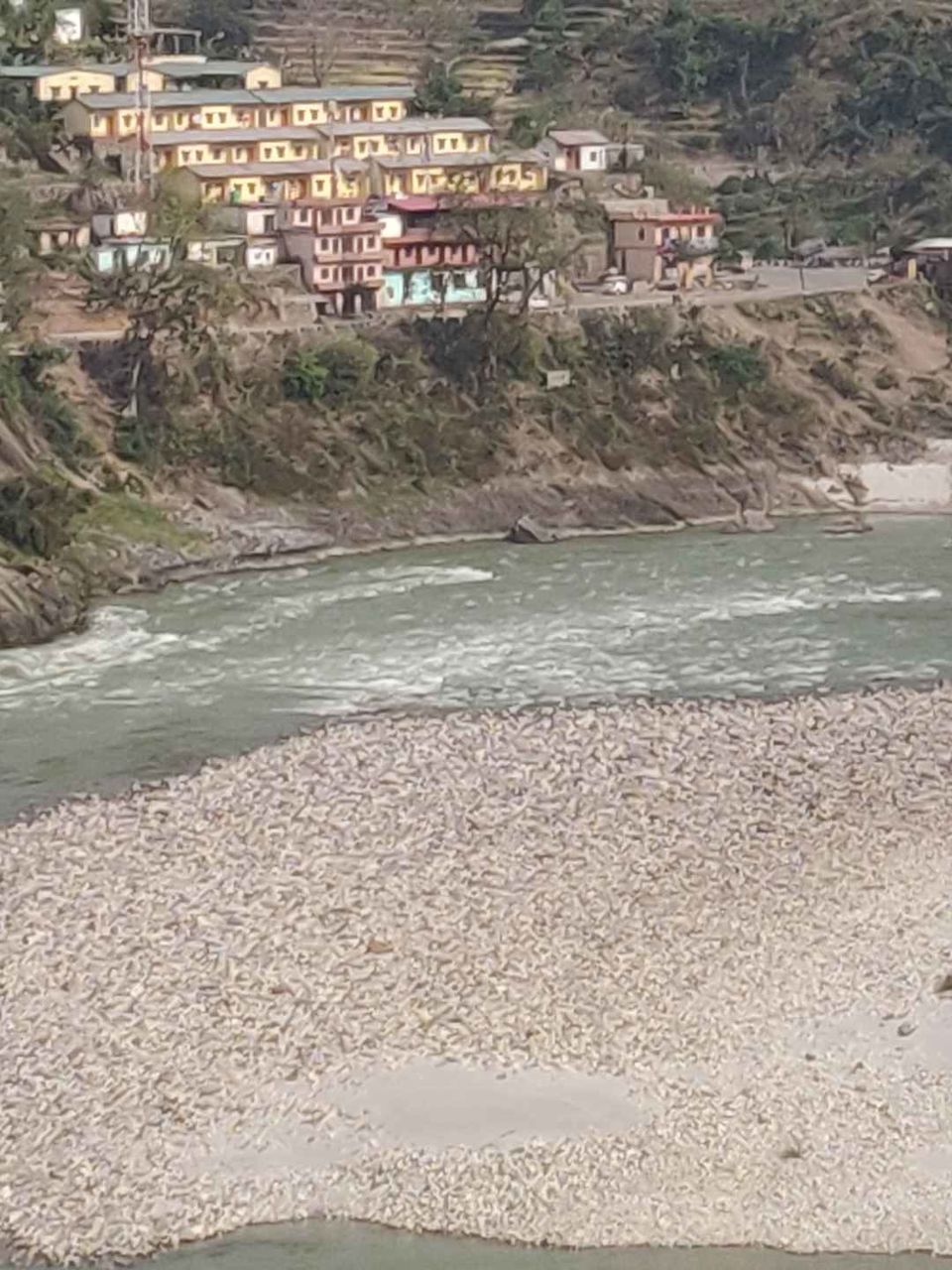 Photo of Devbhoomi - An adventurous trip to Rishikesh by Amy Patel