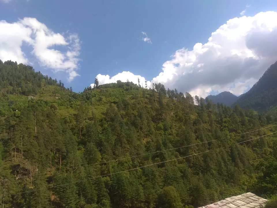 Photo of Tirthan Riverview Homestay. By Tirthan Riverview Homestay